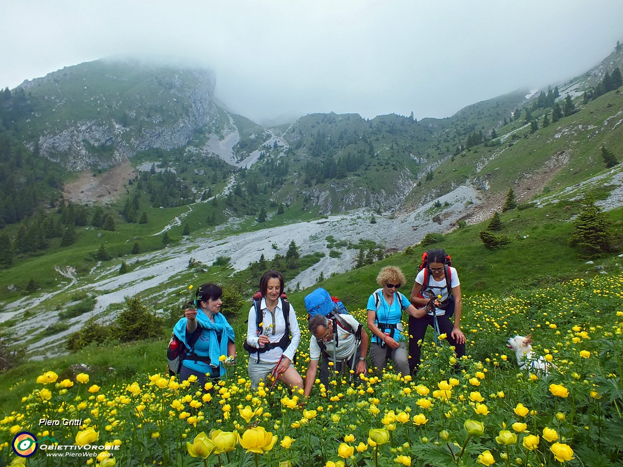 24 Distese di botton d'oro verso la Valle dell'ombra.JPG